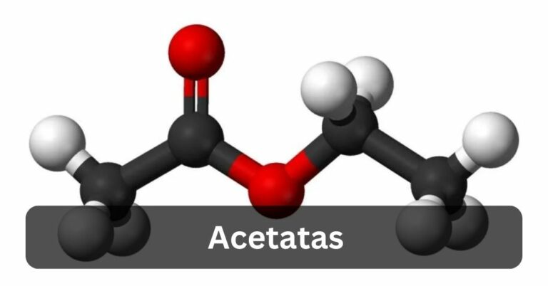 Acetatas –  Let’s Explore In 2024!